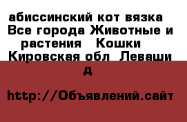 абиссинский кот вязка - Все города Животные и растения » Кошки   . Кировская обл.,Леваши д.